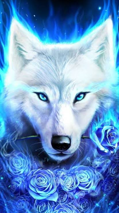  Galaxy wolf Wallpapers - Free by ZEDGE