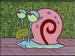 Gary is Squidward | Spongebob, Spongebob squarepants, Cartoon